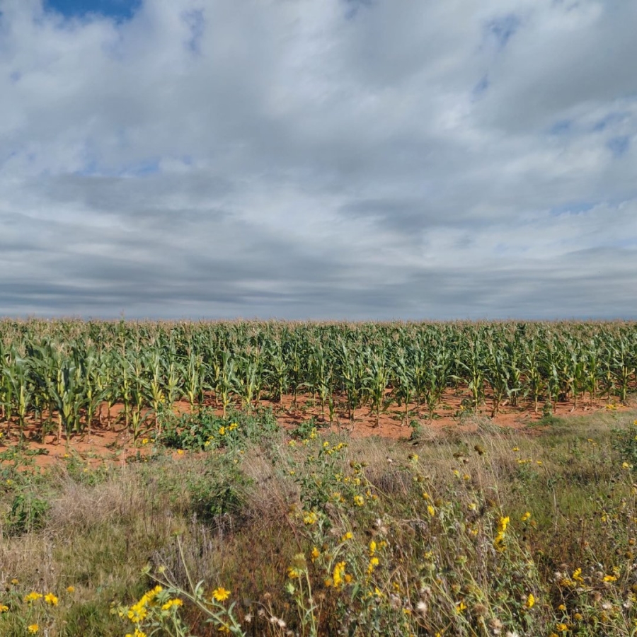 Commercial Property for Sale in Bainsvlei Free State